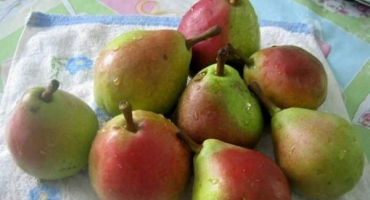 Top 6 receptů na výrobu tvrdého hruškového džemu na zimu